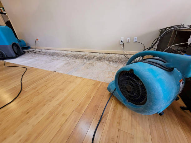 Professional Flood Damage Cleanup technician working in Morongo Valley, CA